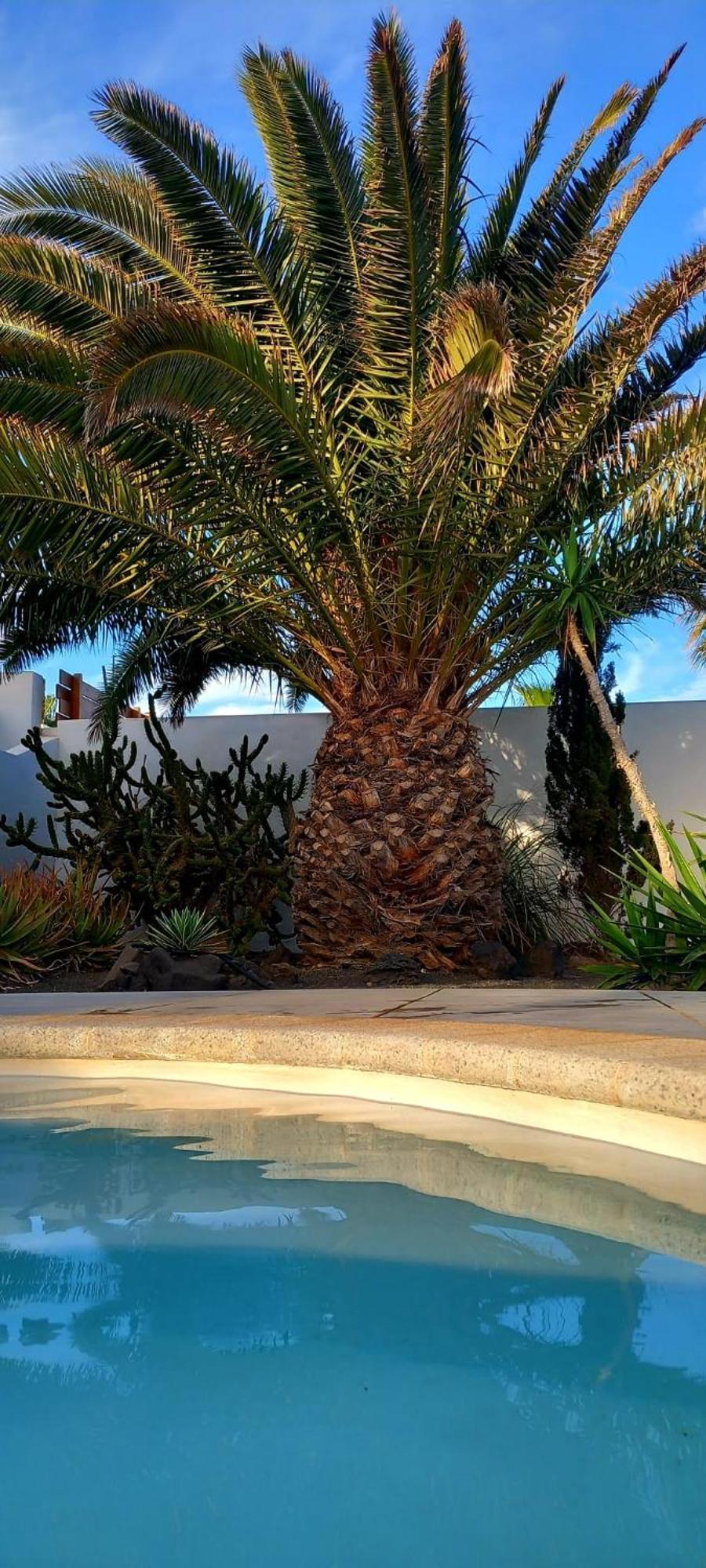 Casa Alizee, Heated Pool, Hot Tub Villa Playa Blanca  Eksteriør bilde
